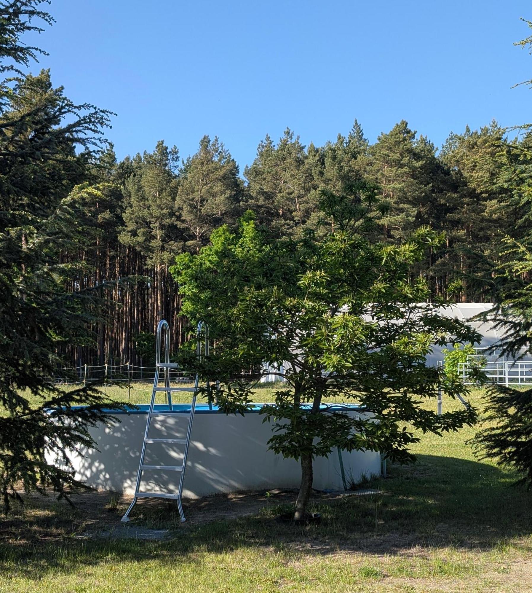 Pension Zum Reiterhof, Fewo 2 Schmogrow المظهر الخارجي الصورة